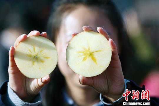 新疆阿克苏首批冰糖心苹果专列发往浙江|浙江