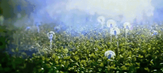 级软风,空气轻微流动,蒲公英安然无恙.