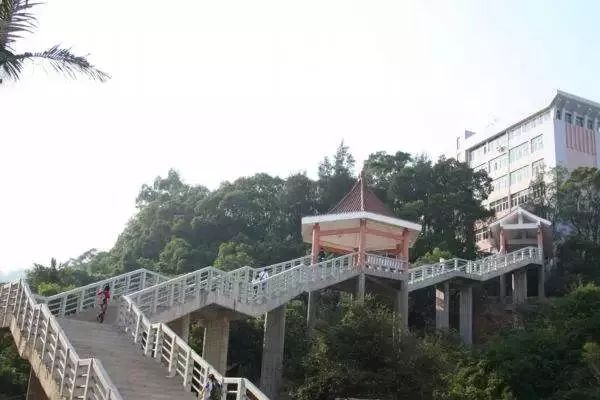 重磅喜讯!厦门有望新增一所本科院校!福建拟向