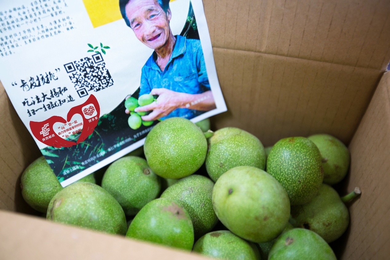 第24届农高会杨凌区政府与社交电商拼多多签