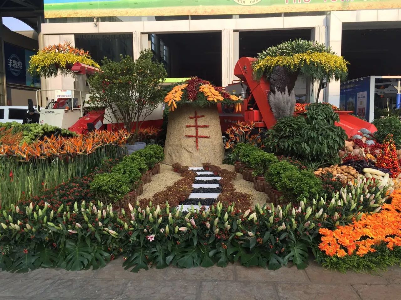 农博会开幕啦! 下午开放 门票10元 快来逛逛逛