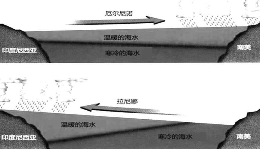 南美大豆恐面临干旱威胁|大豆|阿根廷|布宜诺斯