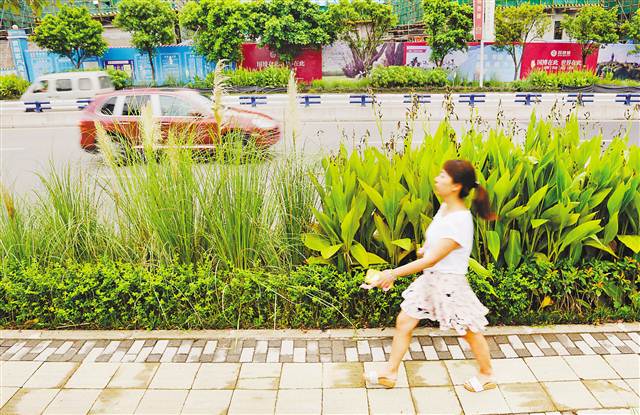 会呼吸的地面|地面|海绵|路沿石