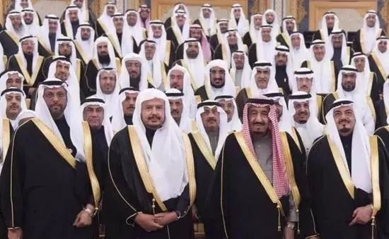 王子之间的宫斗戏,比沙特的反腐风暴好看多了