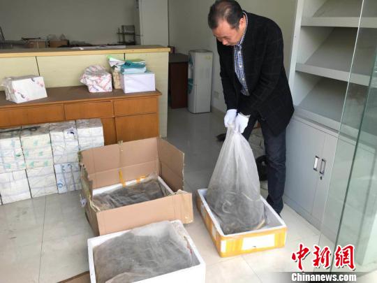 上海金山警方在一辆客运大巴里查获了一箱蛇,经清点有100余条。供图 申海