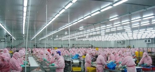 总市值360亿的四家上市公司,为何被一只鸡折腾