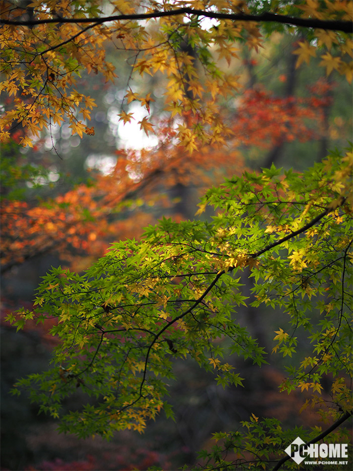 「摄影笔记」你了解手机相机里的HDR功能不