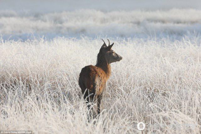 英国现魔幻秋天隧道 背后藏拉尼娜现象|拉尼娜