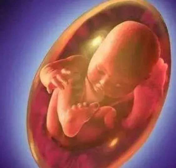 紧急扩散!罕见溶血病已出现,赣州这类人一定要