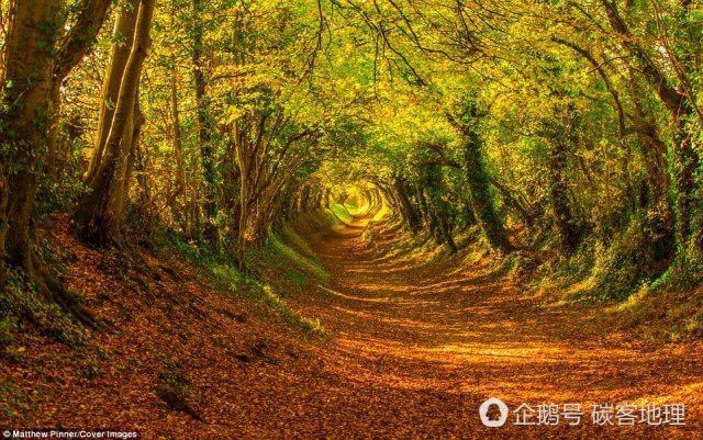 英国现魔幻秋天隧道 背后藏拉尼娜现象