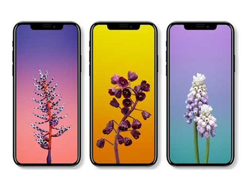 是天太冷了吗?iPhone X屏幕没反应?苹果称正