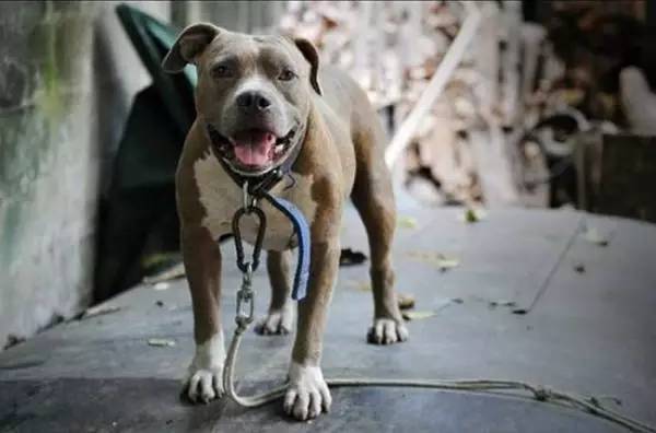 男子一天射.精40~50次,5天后不治身亡,只因·