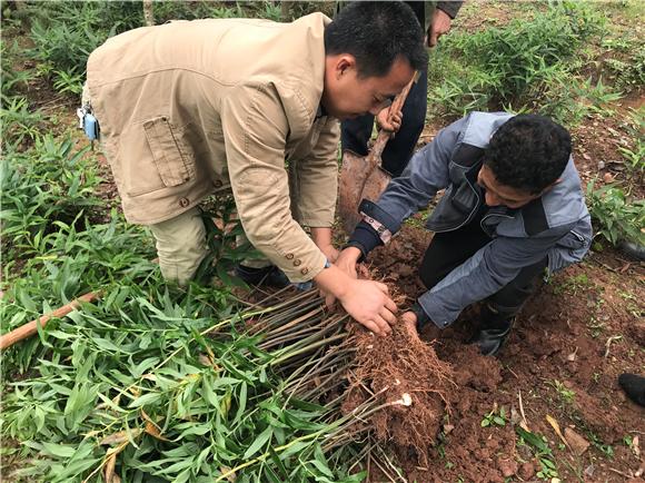 潼南区双江镇依托特色产业 促进农村经济快速