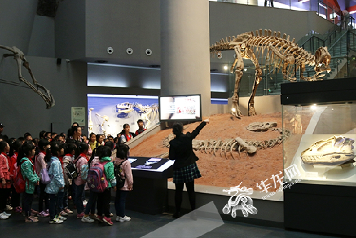 探寻恐龙复活之谜 东水门小学科普研学之旅走