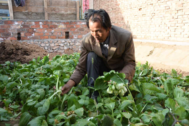 法达人为啥义务教农家娃书法?|宁夏|李忠勤|书