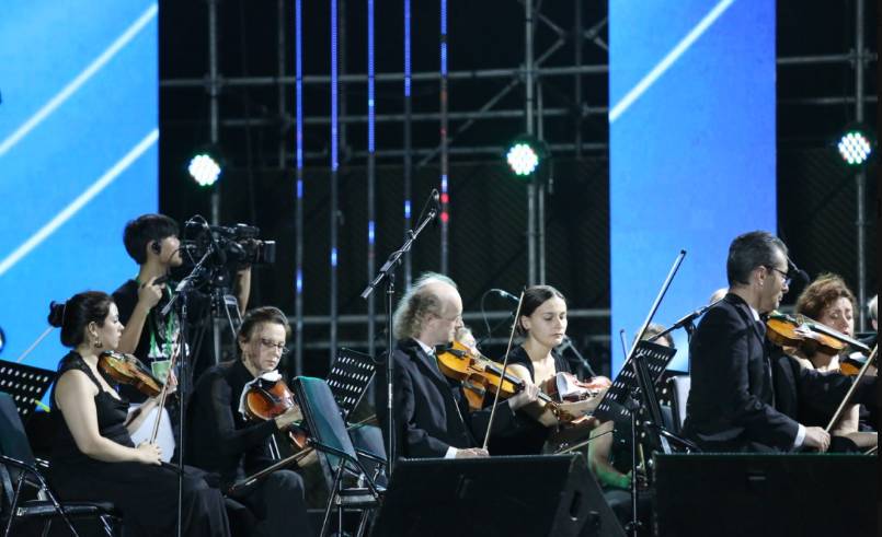 剁完手后一阵空虚?今晚嗨起来!2017莲花山草