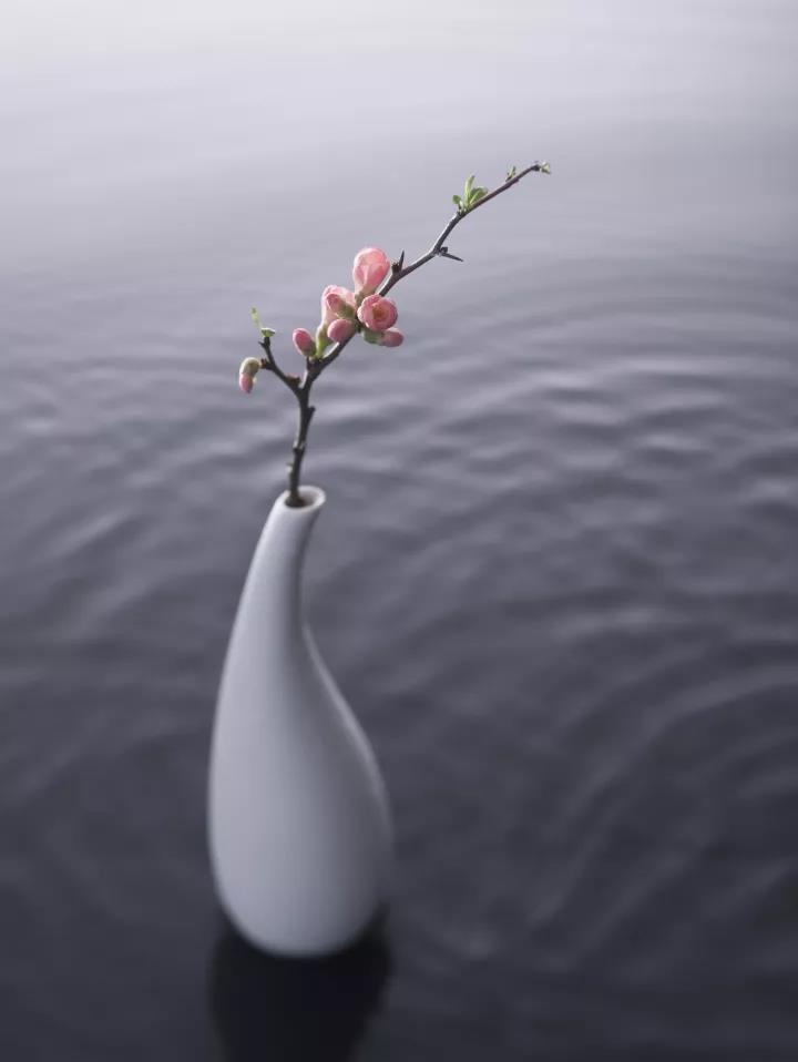 【夜读】人间有味是清欢|苏轼|人间|药方