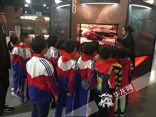 探寻恐龙复活之谜 东水门小学科普研学之旅走