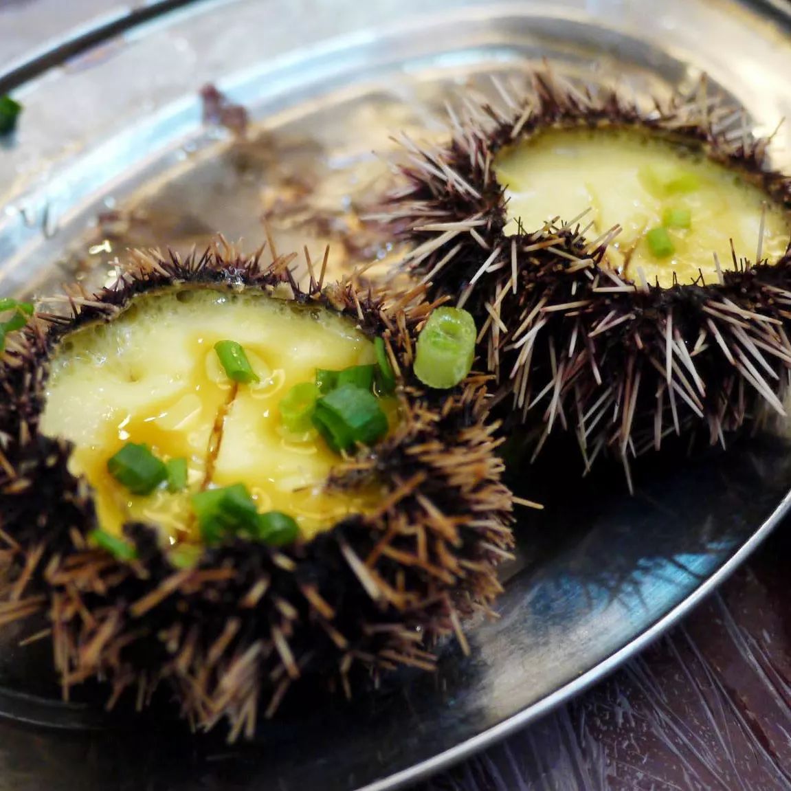 看海吃海鲜,外伶仃岛一路逛到西北