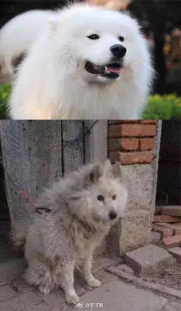 双十一广东又登榜首!看这几个区的土豪剁手