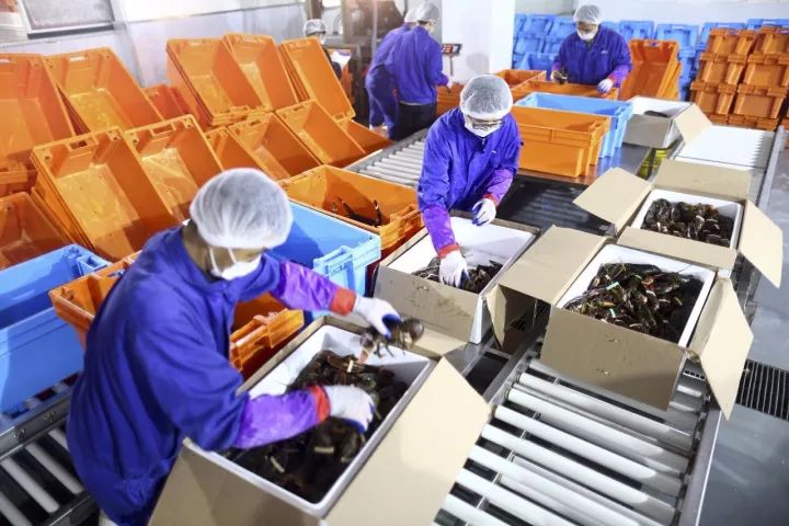 天1亿件,占全球四成!有一种自豪叫中国快递|物