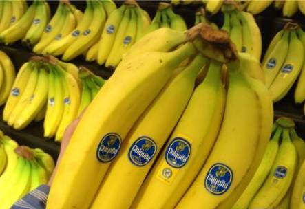 这样的香蕉 再便宜也不要买 常州人赶紧看看.