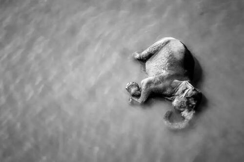 通信人,你应该接受的三个事实|运营商|下行|通信