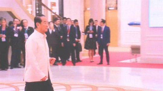宋楚瑜一人走红毯(图片来自台媒)