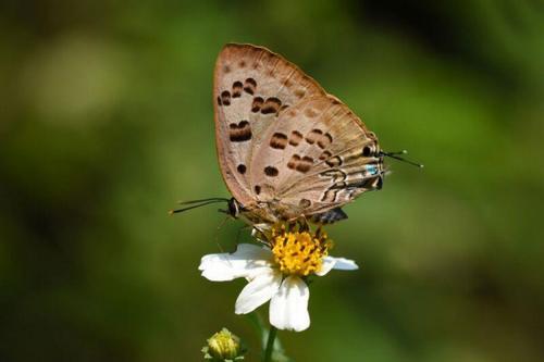 锦州办证公司_百度 知道 _ 中心