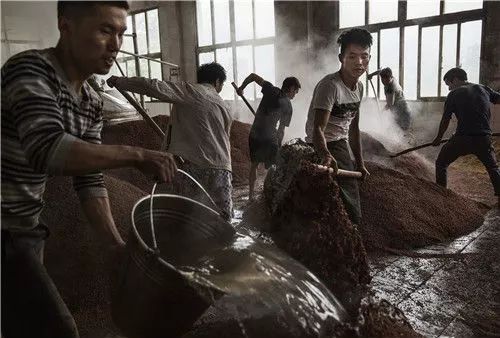 贵州省遵义仁怀市茅台镇，酿酒厂里工人们将烧开的河水准备好，用于高粱的第一次发酵。视觉中国