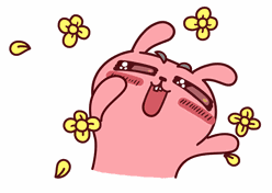 即将火遍全国!海口用一根