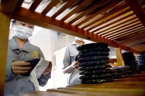 期待!云南5年打造千亿云茶大产业,增加茶叶种