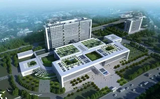 炫酷!中山大学深圳校区设计图曝光,竟然像一只