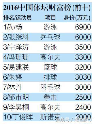 中国体坛女神_中国体坛收入排名(2)