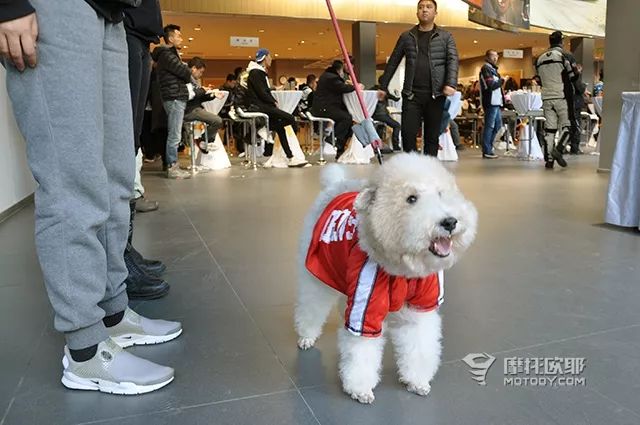 BMW骑士聚会为何惊动了宝马摩托车中国的老