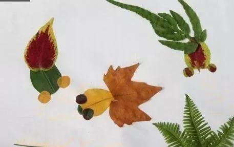 了陪孩子做个 树叶贴画 名额有限,手慢无