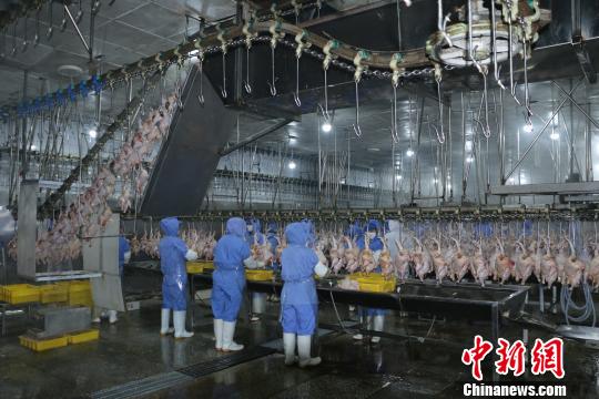 抢占一带一路商机 沈阳7兄弟7国建10家工厂