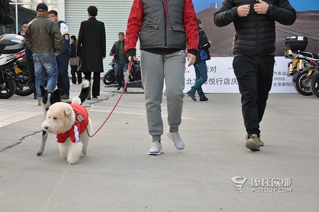 BMW骑士聚会为何惊动了宝马摩托车中国的老