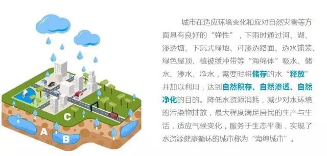 喜大普奔!第五届全国文明城市名单公布,广州蝉