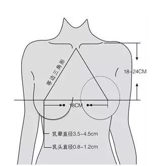 angelababy产后胸垂到腰?拯救胸下垂、平胸妹