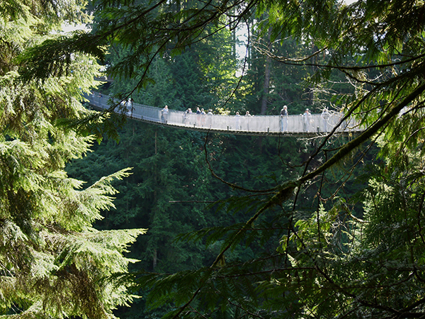 喧嚣与缄默、疯话与梦呓,加拿大西岸双城侧记