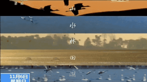 头上是"风霜雨雪雾 脚下是"山水林田湖 一路跋涉