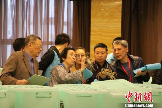 比赛现场。 上海海洋大学供图。