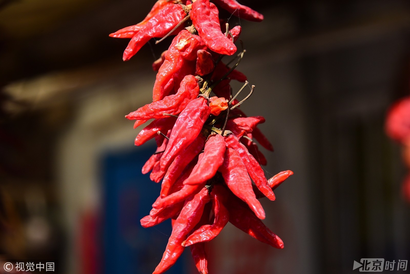 中国辣王一天三顿饭可以没肉 不能没有辣椒|