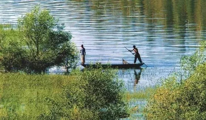 喜大普奔!第五届全国文明城市名单公布,广州蝉