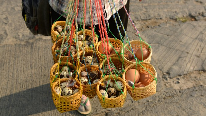 盛有鹌鹑蛋和鸡蛋的编织篮。