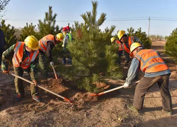雄安新区千年秀林工程开工 每棵树都有专属身