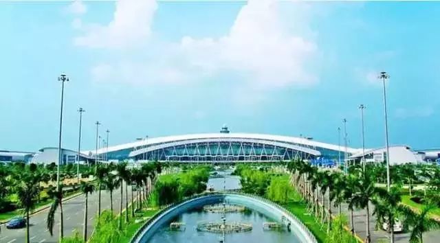 喜大普奔!第五届全国文明城市名单公布,广州蝉