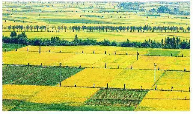 内蒙古:3年内完成粮食两区地块划定|