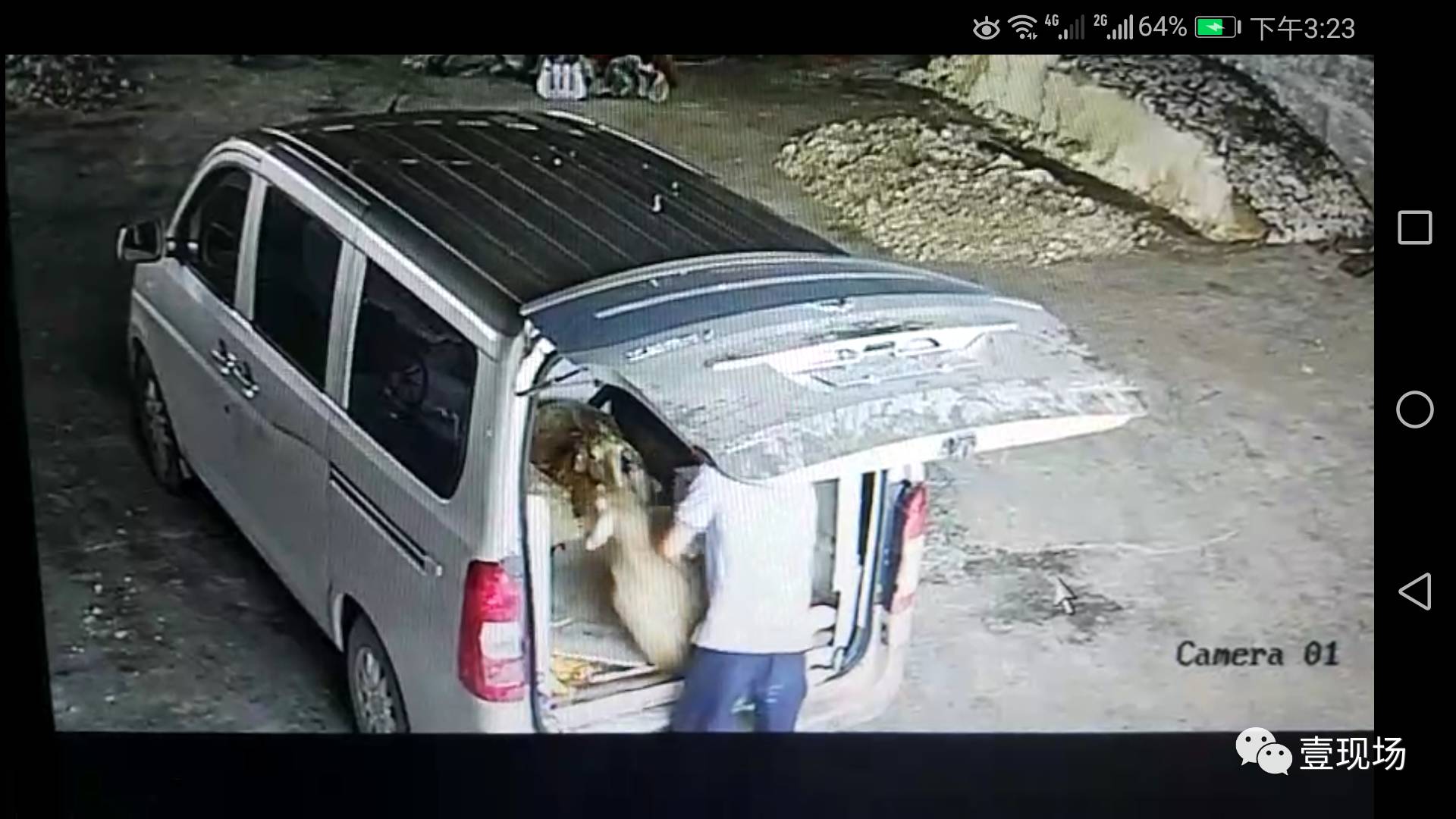 养殖场现内鬼!饲养员和羊贩子里应外合偷走